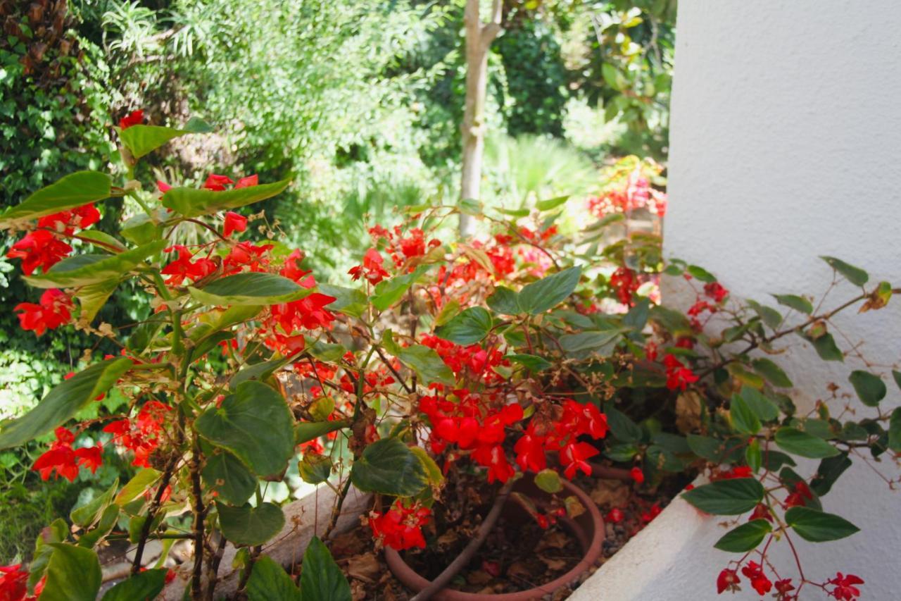 Miraflores Estudio La Cala Mijas By Holidays & Apartment *